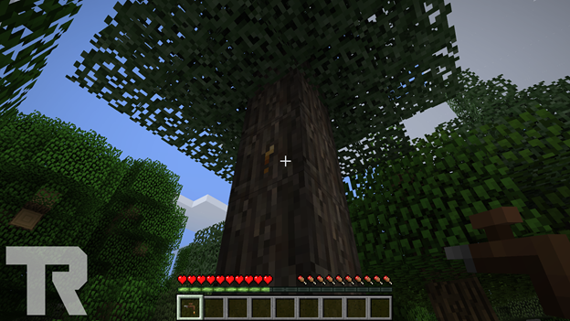 Rubber Tree