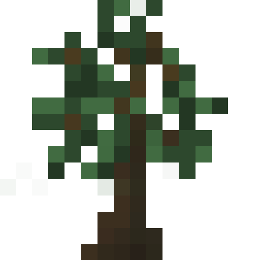 Rubber Sapling